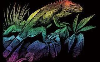 What does it mean when you see a rainbow iguana in your dreams?