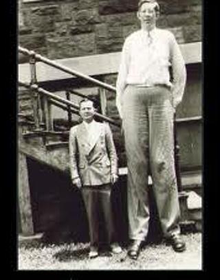 2 feet or 9 feet? And why? Would you like to be 2 feet tall or 9 feet tall? And why? I would like to be 9 feet!