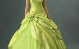 What should my quince theme be? In approximately 1 and a half years will be mah quince. Mah birthday is december 31 so mah mom wants me to have a christmas or winter theme, but I want my quince to have the color green in it, and I DO NOT WANT GREEN AND RED. But I can only convince her if I can actually think of a theme that has green. I would like a nature theme or something like that but it's DECEMBER and I'm not a hippie. I need a theme without it I'm going crazy with the decorations! 