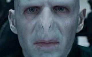 hey I know most of you like harry but what about voldemort? hm I totaly like him!!!!!!!!!!!!!!!!