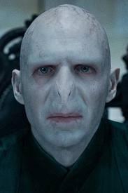 hey I know most of you like harry but what about voldemort? hm I totaly like him!!!!!!!!!!!!!!!!