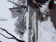 Anyone else live in MN? Look at the picture. If you do then you might know what is happening. Here's what happened.... On Tuesday night it started raining, the next morning all that water had frozen and became ice. All the ice that was on the trees was too much weight for the trees to hold so they were breaking. Some trees are even split in half! The power isn't that good either. Right now they say this might last 24-48 more hours. The good part is that there is no school. We even got about 6 inches of snow. I thought it was supposed to be spring, but I guess not. What do you think about this?