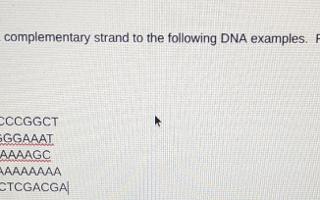 ay yo someone do my biology homework please and thank u i'll give u a bedtime kiss if u do this for me