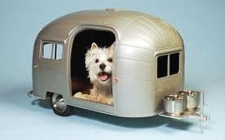 How cool is this kennel? I think its awesome + awesome! What about you?