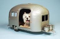 How cool is this kennel? I think its awesome + awesome! What about you?