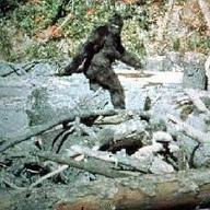 Do you believe in BIGFOOT? Bigfoot, also known as sasquatch, is the name given to an ape-like creature that some people believe inhabits forests, mainly in the Pacific Northwest region of North America. Bigfoot is usually described as a large, hairy, bipedal humanoid. The term sasquatch is an anglicized derivative of the Halkomelem word sásq’ets. 