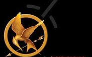 R u team Clove or Team Katniss or Team Rue? Ok. I like clove and katniss and rue but i personally like katniss! Wat bout u guys?