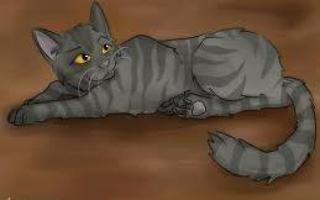 Do you like Graystripe? I hate him because he was with Firestar and I hate Firestar!