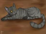 Do you like Graystripe? I hate him because he was with Firestar and I hate Firestar!