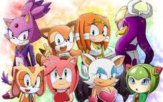 which sonic character are you? ( GIRLS )