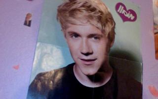 Am I Obsessed with one direction? I have 18 posters of them. I talk about them all the time. Do you think I am obsessed?