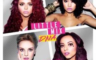 Which song from DNA by little Mix is your favourite? MINE IS MADHOUSE!!!!! OMG MADHOUSE!!!!! SO AMAZING!!!! SERIOUSLY!!!! LOVE MADHOUSE SO SO SO SO MUCH!!!!! MADHOUSE!!!!! YEAH!!!!  Anyway! :D Which is YOUR favourite?  Shout-out to ILoveVoldyAndDraco for winning a competition of mine! :)