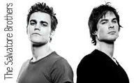 who better Damon Salvatore or Stefan Salvatore? which one is hotter? stefan left and damon is right