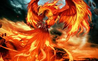 Do you believe in phoenix the fire bird? In Greek mythology, a phoenix or phenix (Ancient Greek φοῖνιξ phóinīx) is a long-lived bird that is cyclically regenerated or reborn. Associated with the sun, a phoenix obtains new life by arising from the ashes of its predecessor. The phoenix was subsequently adopted as a symbol in Early Christianity. 