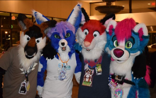 What are your thoughts on furries? I personally am ok with furries, the style is cool and it's pretty awesome. What about you?