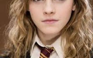 What about hermione who likes her? well she's a little bit of an know it all but I kinda like her as a friend