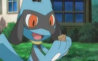 Who's you Favorite Pokemon? "You know my Favorite Pokèmon!"(Riolu)