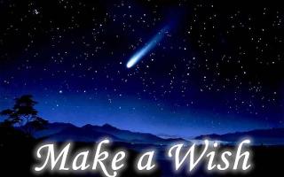 if you could have one wish what would it be? if you could have one wish what would it be?