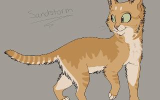 Do you like Sandstorm? She is from Warrior cats.