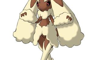 What's your favorite Pokemon. Well just that I don't know of all  720 is 720 OKAY l...