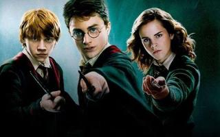 What's your favorite Harry Potter ship? What's your favorite Harry Potter ship? Well, mine is Harry Potter x Hermione Granger