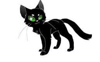 In the book where Hollyleaf died do you think she should stay alive or stay dead? I would rather have her alive she is my fave warrior cat & I would never want her dead but I need your opinions if you want her dead or alive?