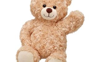 What Kind of Stuffy do/did you have? Do/did you have a stuffed animal? What does it look like? Does it have a name?