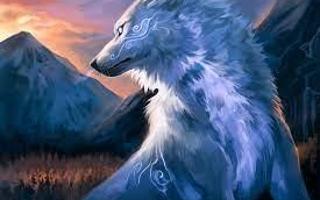 What is your favorite Wolf Rank?