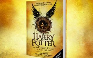 Are you excited for the new Harry Potter book and movie announcement (Harry Potter and the Cursed child)? In July 31st 2016, a new Harry Potter book and movie (Harry Potter and the Cursed child) coming out, If you don't know who Harry Potter is, go and watch movies or go to the nearest store and buy books if available, I am so excited and once the book and the movie comes out, immediately I will watch the movie and read the book, but some of you guys might not know is that most people are Harry Potter fans, I am one of them, so in the comments below write down how you feel about the new Harry Potter book and movie coming out, that is it for now!