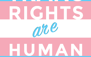 Everyone listen up- Lets just all post trans rights are human rights and LGBTQ rights stuff until they stfu and leave trans ppl alone u3u agreed?