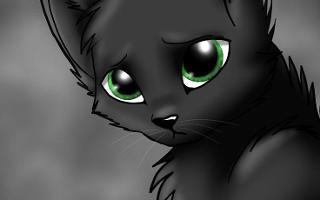 What's my favorite warrior cat You are you pick plz hi boo stuff me hi pooc hop?