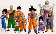 What episode of dragon ball do I NEED to see I started to watch the first dragon series and on episode 10 right now. I want to get though it a lot faster so what episodes do I need see to get every or important to the series