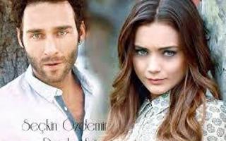 couple of damla sonmez and seckin ozdemir looks good?