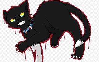 What do you think of Scourge the cat? So, I think of him as, well, I don't really want to share my feelings, were anyone can really see them. But, wen I say Scourge, I mean Scourge from warriors.