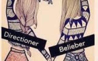 Who are you ? I'm a belieber and maybe a directioner too. I love everything about the guys. What's about you ? Who are you ?