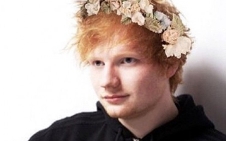 opinion on ed How do you feel about my princess aka ed sheeran , be honest