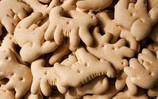 Do vegetarians eat animal crackers?