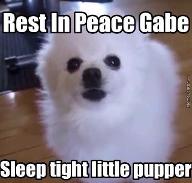 are you sad about gabe the doggo died ? he died January 2017 on the 17