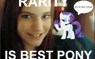 What if pony went on websites and were like superfans of us? What would your reaction be if you found out that [insert your favorite pony here] had 50 posters of YOU on their wall? btw the picture says "Sky is best human!"