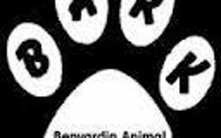 Can you give me the names of a few dog charities? I'd like to know some, at the minute, I only know 3. Could you name some please?