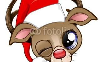 Is Rudolph the red nose reindeer a boy or a girl? Well people say Rudolph is a girl and people say Rudolph is a boy... What is ur opinion?