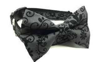 What kind of dog would suit this Bow Tie Collar? I don't know....