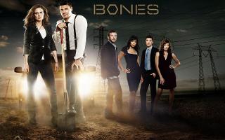 Who else watches the tv show "Bones"? I've encountered a few people on here who also watch "Bones", which is one of my fave tv shows. So do YOU watch "Bones"?