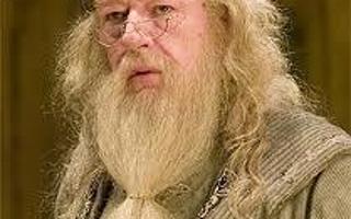 what do you think about dumbledore?! well he's the head master but I don't like him