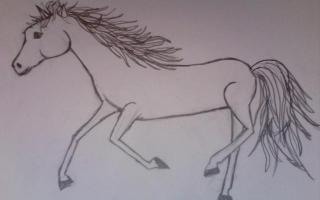 do you like the picture I drew of a horse? I did not copy it. Please answer!!! :) (Please don't lie)