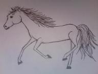 do you like the picture I drew of a horse? I did not copy it. Please answer!!! :) (Please don't lie)