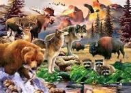 What animal do you want to be? If you could change into at animal, and live their life, which animal would you chose? All animals excepted, mythical, made up, and humans. Also know animals, so who would you pick?