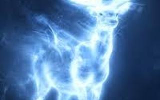 What's your Harry Potter patronous? I probably spelled it wrong but I don't care