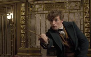 Who's seen Fantastic Beasts and Where to Find Them? it was awesome btw