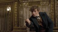 Who's seen Fantastic Beasts and Where to Find Them? it was awesome btw